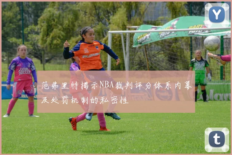 范弗里特揭示NBA裁判评分体系内幕及处罚机制的私密性