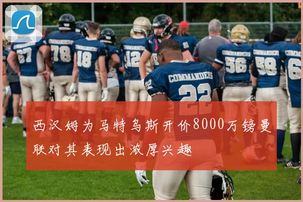 西汉姆为马特乌斯开价8000万镑曼联对其表现出浓厚兴趣