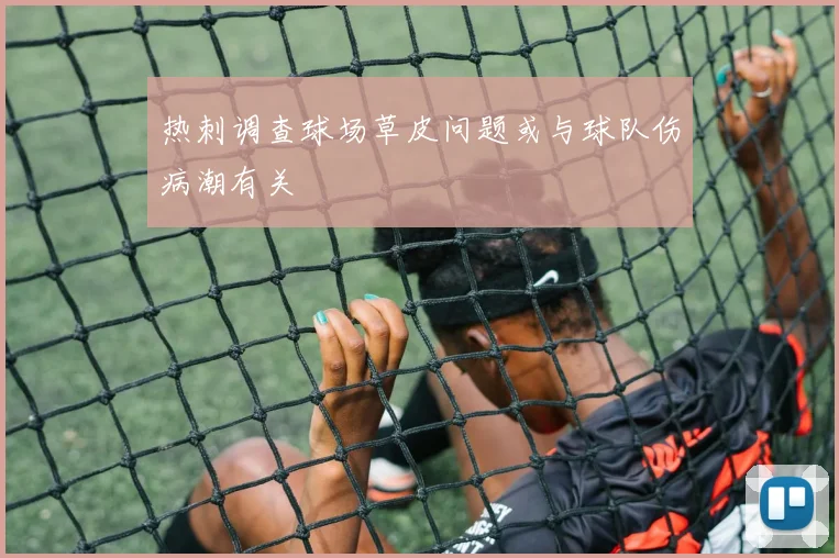 热刺调查球场草皮问题或与球队伤病潮有关